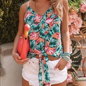 Flamingo Tank